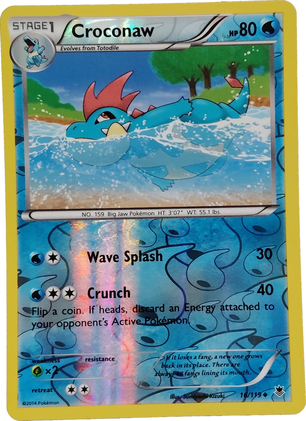 Croconaw 16/119, English, Standard, Reverse Holo