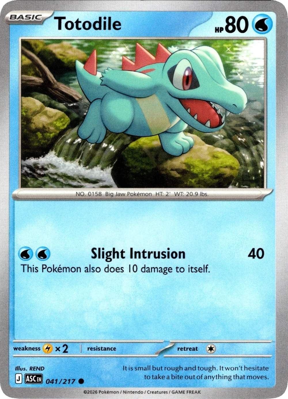 Totodile 041/217, English, Standard, Non-Holo